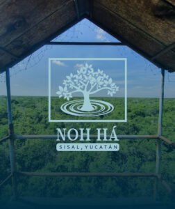 Noha lotes campestres